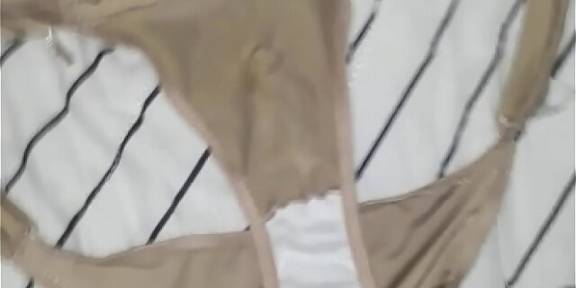 panties